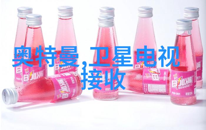 深圳技术大学创新与实践相结合的教育殿堂