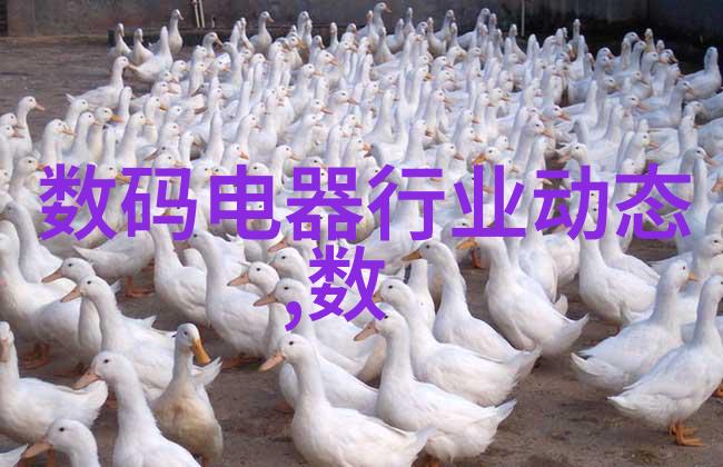 我和我的大屏幕电视