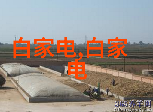台积电芯片之所以厉害技术领先与创新驱动