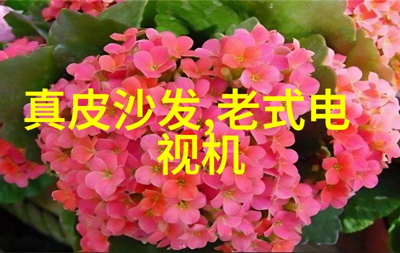 情感探索-宝贝儿是不是有感觉了揭秘心灵深处的微妙变化