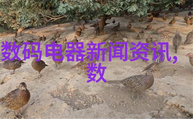离心的基本原理与应用方法
