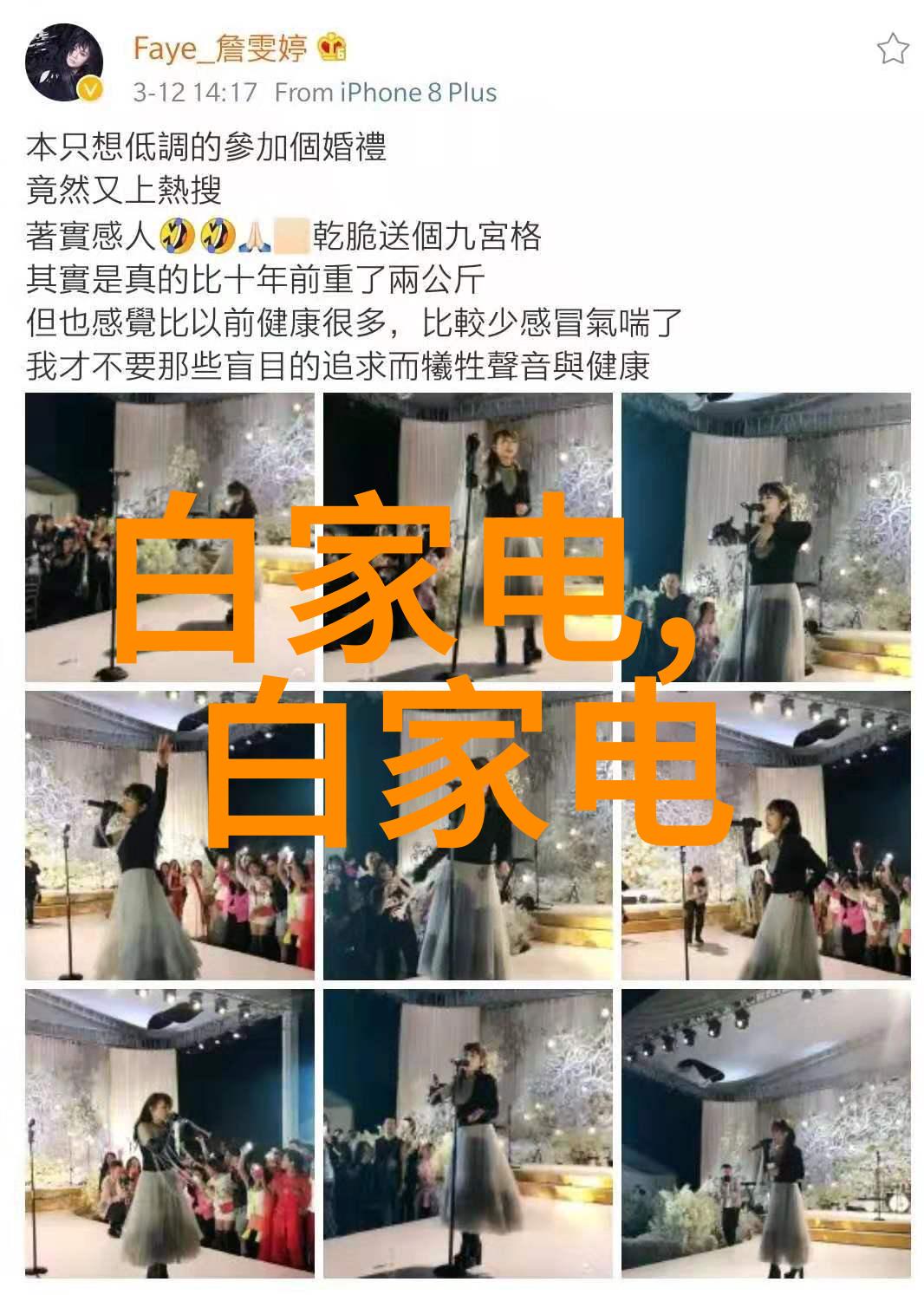 电热蒸汽发生器高效家用蒸汽清洁解决方案