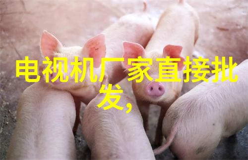 名人装修大曝光为何都选壁纸装修