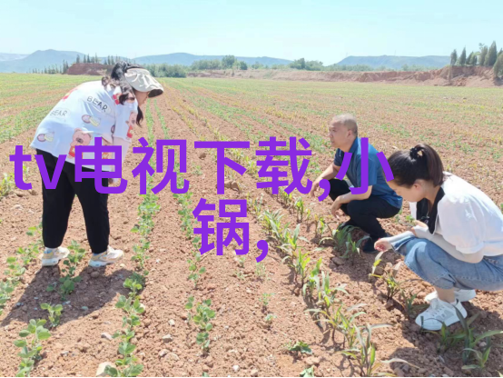 粉碎机设备碎石破碎的高效解决方案