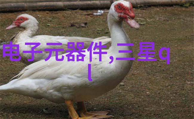 写报告书的内容有哪些我是怎么做到把所有要说的都记在报告书里的