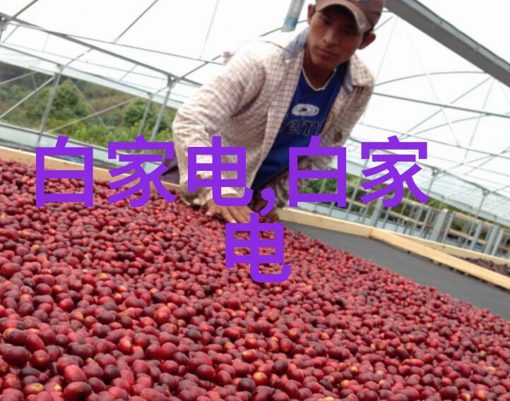 德国技术精神的天津传承中德应用技术大学的创新实践