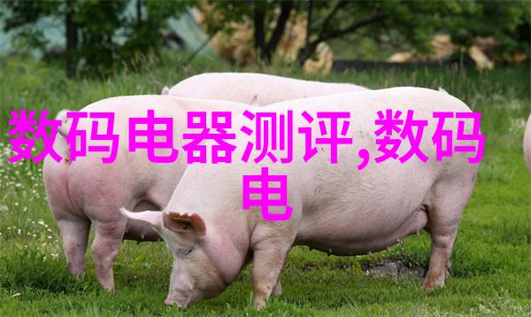 垃圾焚烧设备升级如何提高能效与减少污染