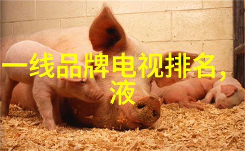 新型电视机的多样化选择从曲面屏到智能互动探索未来视觉体验