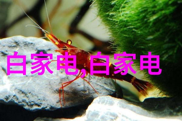 不锈钢丝网波纹填料重量金属工艺的精细之美