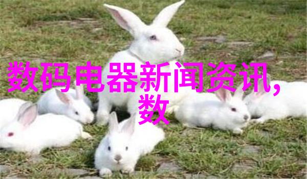 塑料分离器环境保护的有用工具