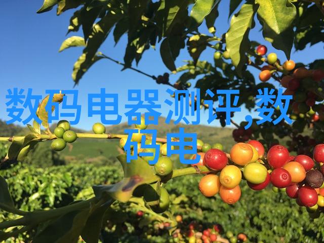 从毛坯到美房墙面变身记刷几道工序来看这奇妙的五步法