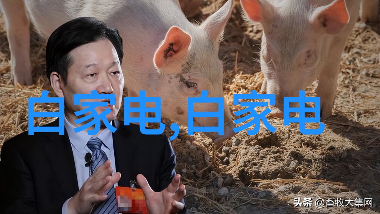 东富龙制药设备之谜