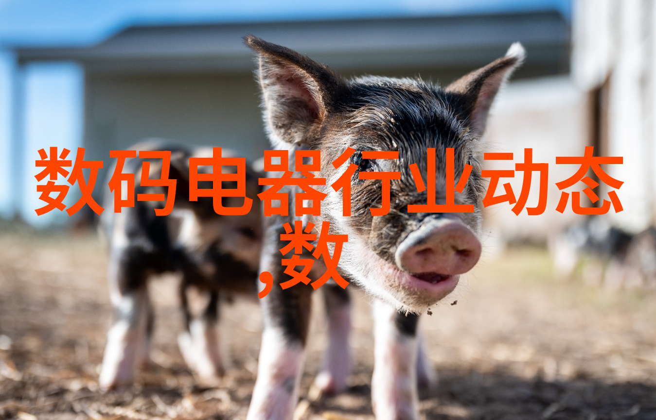 我和我的固相合成反应釜