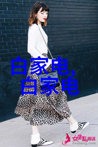 揭秘芯片之心硅金属与其他材料的应用与演进
