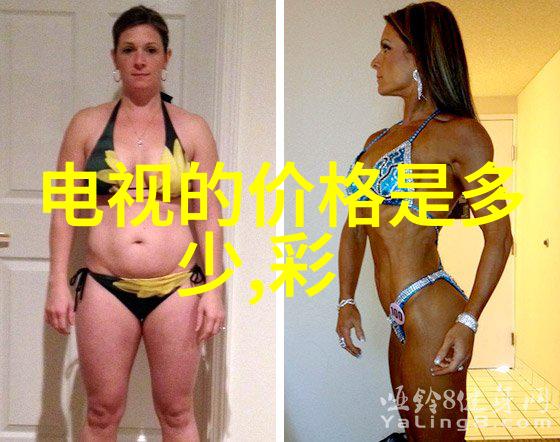 干洗机技术革新净化衣物无需水的高效解决方案