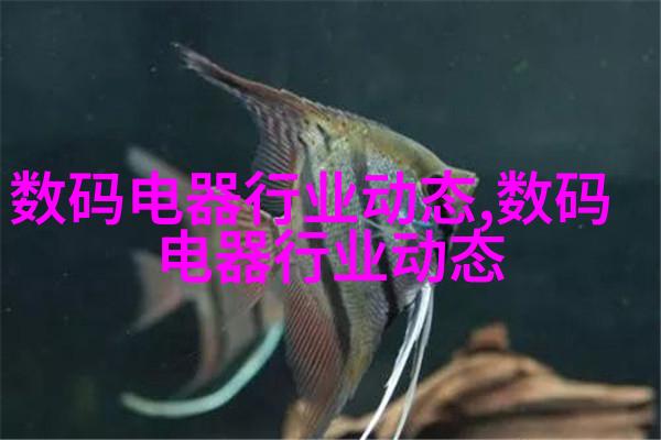 书房与阅读角落