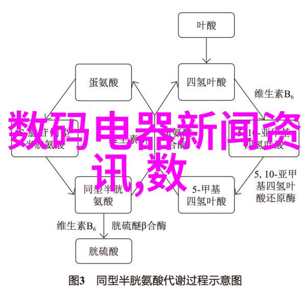 不锈钢平台下的未知揭开那些被遗忘的秘密