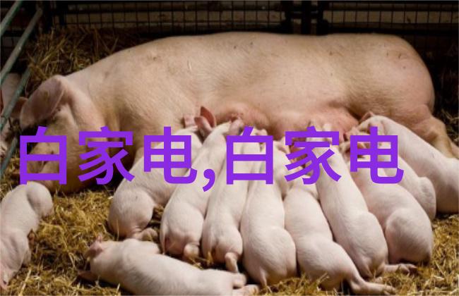 微波干燥设备在食品加工中的应用有哪些
