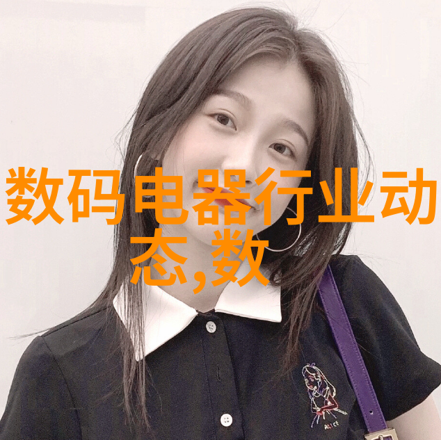 芯片封装从微小的电子精灵到大侠的宝藏