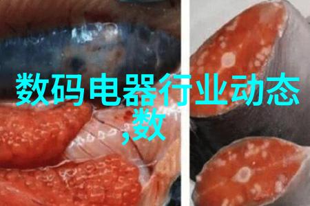 高速列车维护艺术剖析动车组检修技术的精髓