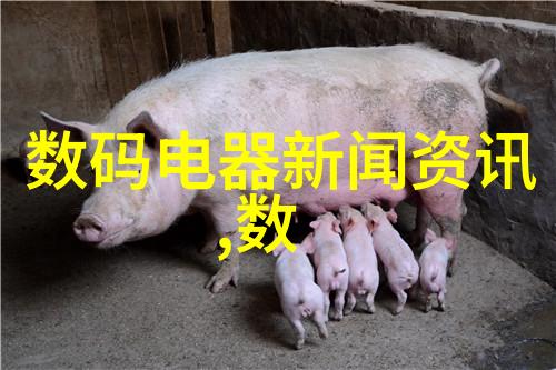 阳台到卧室边的每一步家居生活的细微变迁