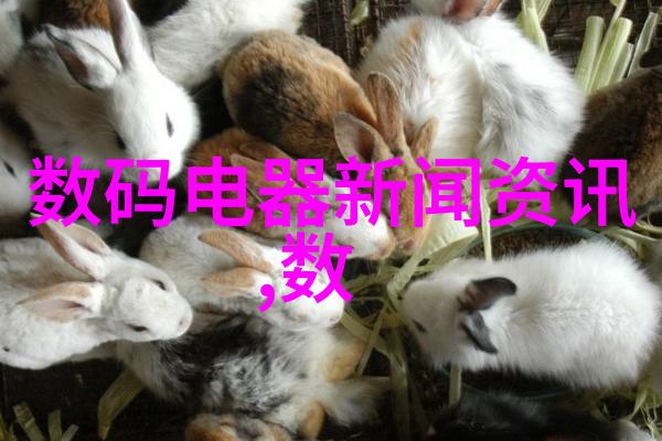 数字化转型下的技能提升扬州工业职业技术学院如何适应变化