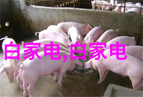 废气冷凝器老哥的清洁日记如何让它不再熏心了