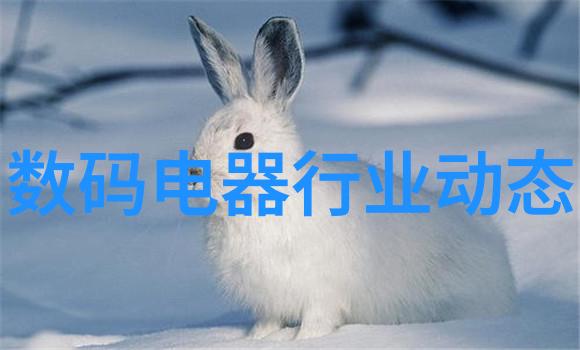 超越时间限制让科技与人文和谐共生未来是不是更需要高效可靠的联络方式