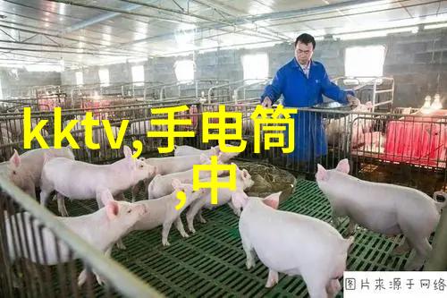 家庭加工厂的兴起与挑战