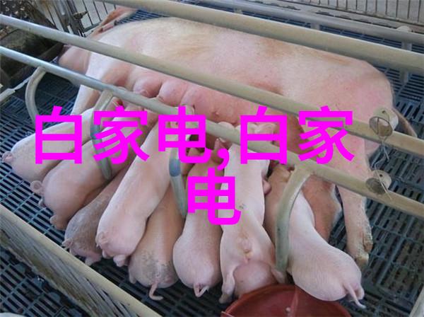在旅游过程中我该如何快速识别出是否存在细菌污染的风险