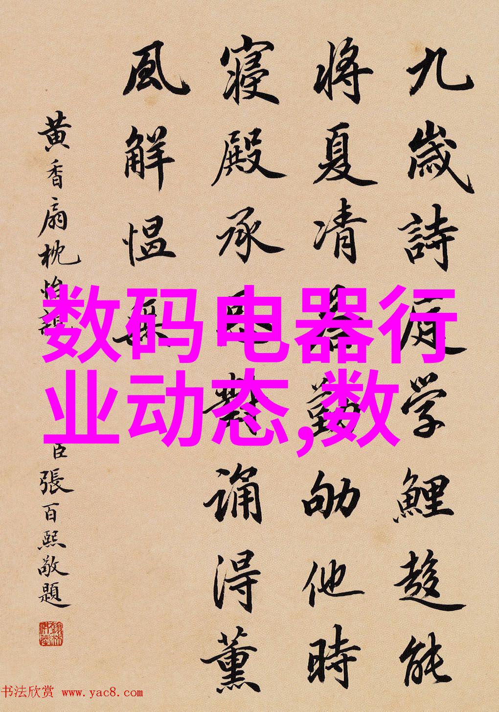 暮白首探索岁月静好的艺术之旅
