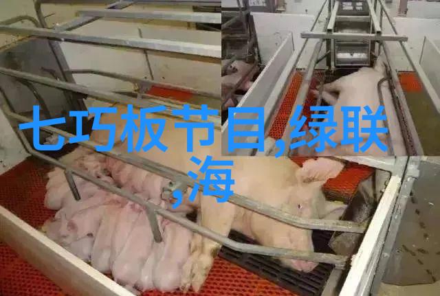 如何理解片剂机械在药物生产中的关键作用