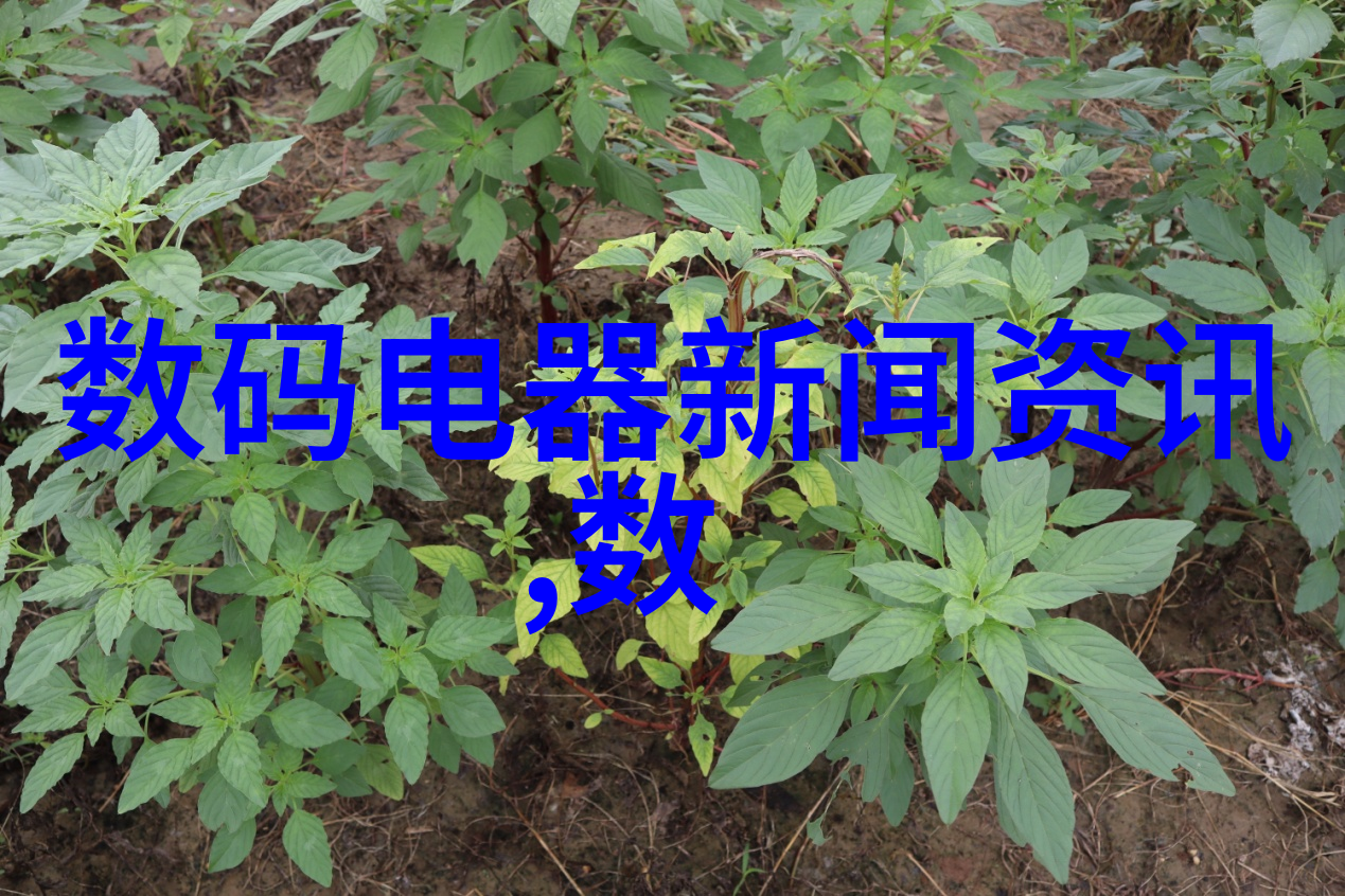 全自动水平粉剂给袋包装机