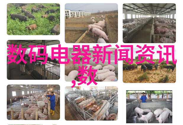 不锈钢波纹板填料我是如何用它来装修厨房的