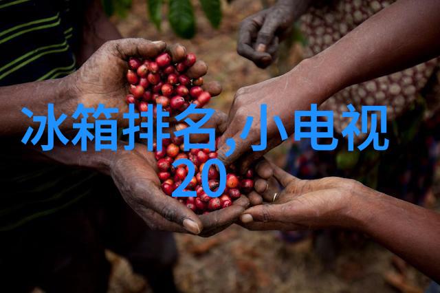 专利网查询入口深度解析专利信息检索系统的便捷门户