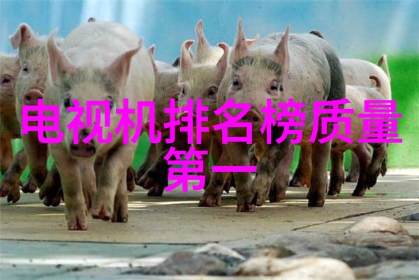 邻里间的诱惑爆乳人妻的秘密生活