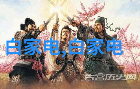 工业用净化水设备的选择与应用实践