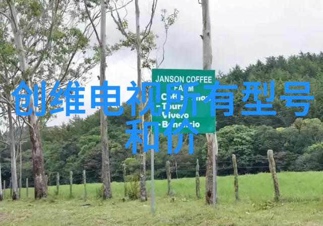 传统与现代交融创意用途中的奇妙植物组合