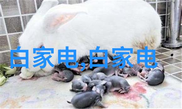 水质检测结果如何评估了解你的饮用水安全