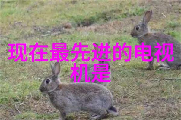 四根入三门是什么意思-解密古代建筑技巧的秘密