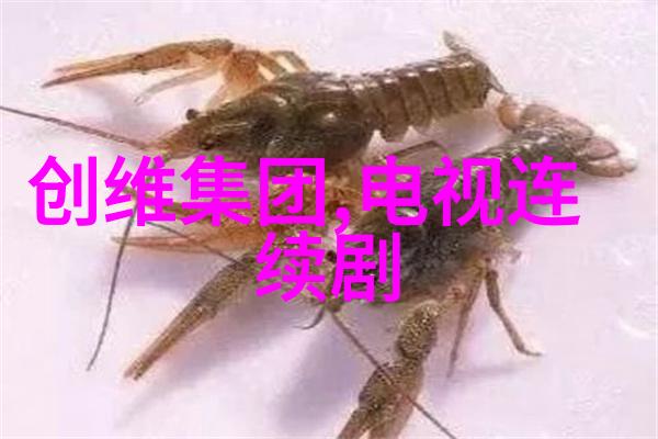 炒股新手必备系统学习股票市场的艺术与技巧
