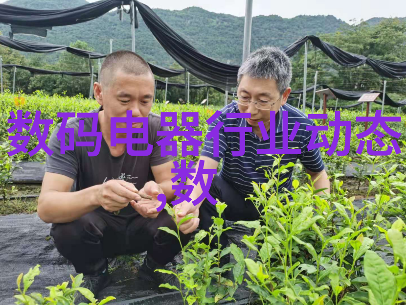 真空技术-高效率的真空干燥设备新时代食品工业的必备伙伴