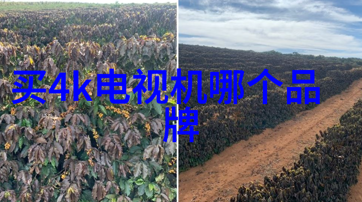 智能物流骨干网如何提高货运效率和服务质量