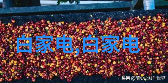 不锈钢丝网填料网我的小工匠伙伴