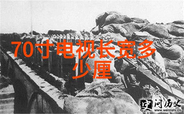 岳父的意外之旅从装睡到共同成长
