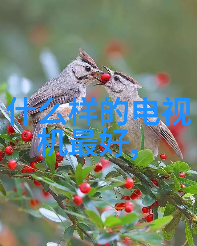 A校装A的日子时尚风格的学校生活