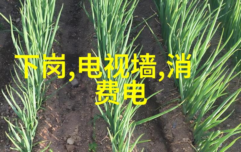 家用水质检测仪使用指南确保清洁饮用水的安全与便捷