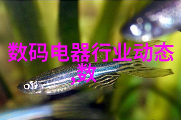 连续离心过滤机我的日常小伙伴