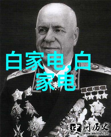 案件终结揭秘关键证据与判决要点