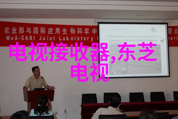 改善水电设施的成本考量